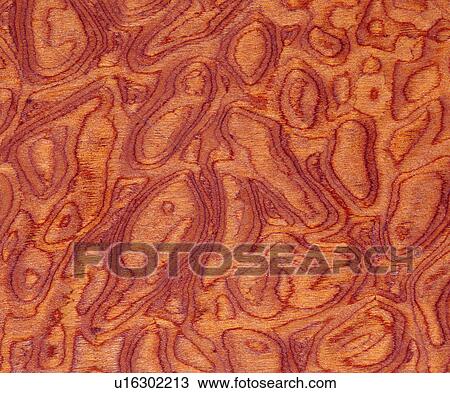 pattern, textures, wood, wood textures View Large Photo Image Stock Image - pattern, textures, wood, wood textures. Fotosearch