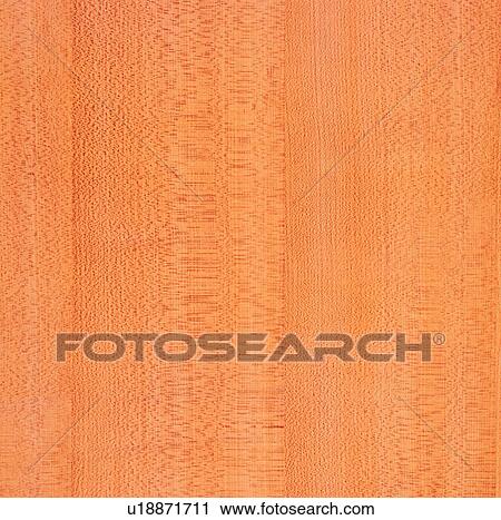 wood, background, wood textures, brown, pattern View Large Photo Image Stock Image - wood, background, wood textures, brown, pattern. Fotosearch