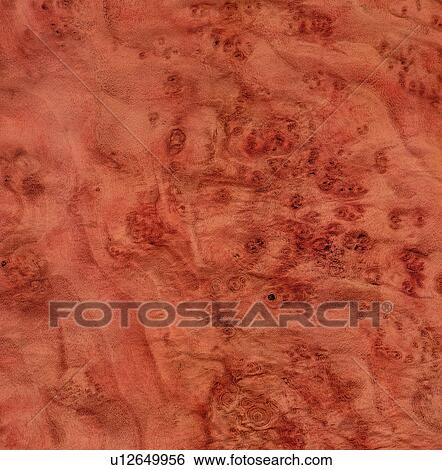 wood textures, background, textures, wood, pattern View Large Photo Image Stock Photograph - wood textures, background, textures, wood, pattern. Fotosearch