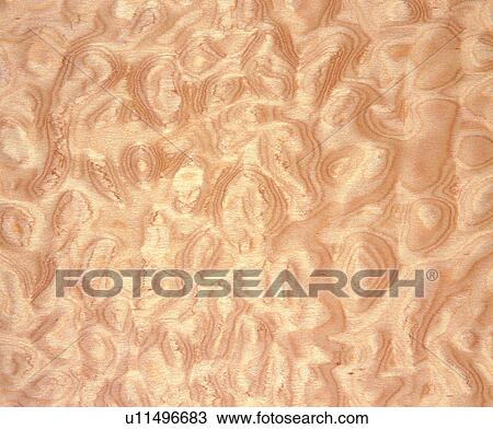 wood textures, brown, background, wood, textures View Large Photo Image Stock Image - wood textures, brown, background, wood, textures. Fotosearch