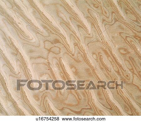 wood textures, textures, light yellow, brown, pattern, wood View Large Photo Image Stock Photo - wood textures, textures, light yellow, brown, pattern, wood. Fotosearch