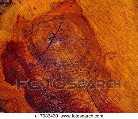wood textures, textures, pattern, brown View Large Photo Image Stock Image - wood textures, textures, pattern, brown. Fotosearch