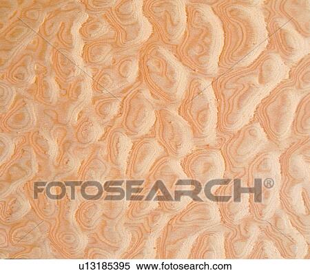Stock Photography - yellow, background, textures, brown, pattern, wood. Fotosearch