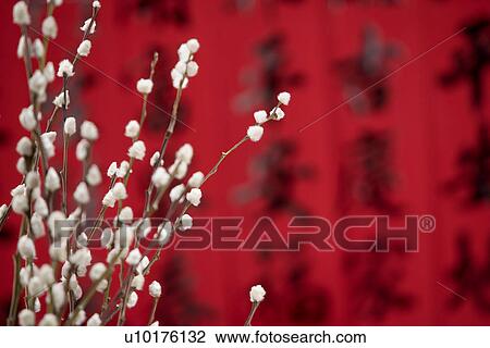 Stock Image - Indoors. Fotosearch