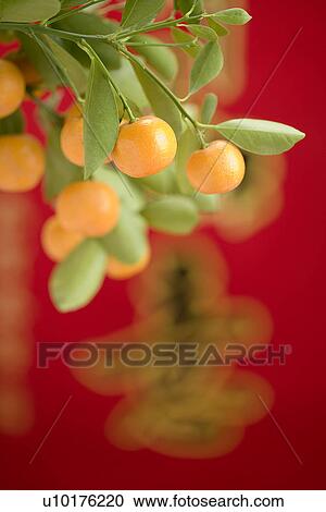 Stock Image - Indoors. Fotosearch