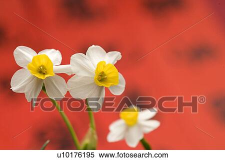 Three Objects, Indoors View Large Photo Image Stock Photography - Three Objects, Indoors. Fotosearch