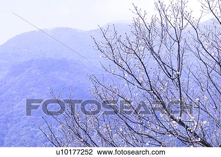 Stock Image - Large Group of objects, Two Objects, Close-Up, Outdoors. Fotosearch