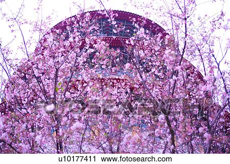 Large Group of objects, Two Objects, Close-Up, Outdoors View Large Photo Image Stock Image - Large Group of objects, Two Objects, Close-Up, Outdoors. Fotosearch