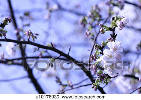 Medium Group of objects, Close-Up, Outdoors View Large Photo Image Stock Image - Medium Group of objects, Close-Up, Outdoors. Fotosearch