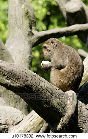 View Large Photo Image Stock Image - . Fotosearch