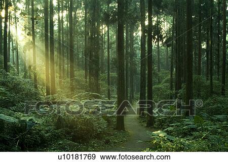 Outdoors, Green View Large Photo Image Stock Photo - Outdoors, Green. Fotosearch