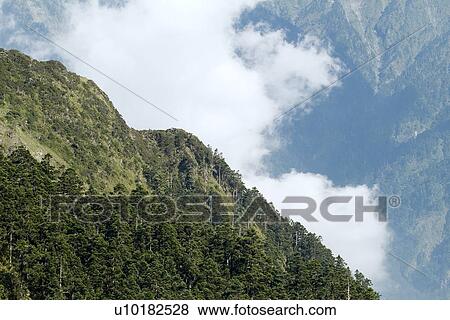 Stock Photo - Outdoors, Green. Fotosearch