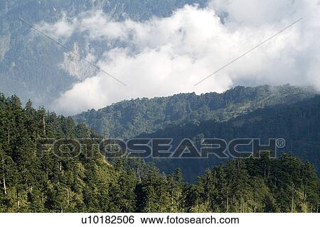 Stock Photograph - Outdoors, Green. Fotosearch