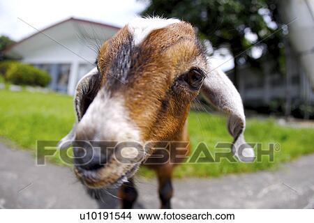 Picture - Outdoors, Day. Fotosearch