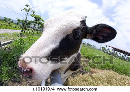 Picture - Outdoors, Day. Fotosearch