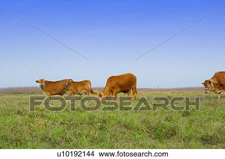 Outdoors, Day View Large Photo Image Picture - Outdoors, Day. Fotosearch