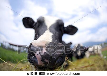 Stock Image - Outdoors, Day. Fotosearch