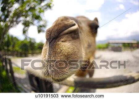Stock Image - Outdoors, Day. Fotosearch