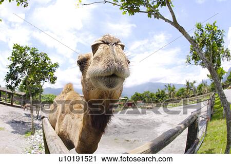 Stock Image - Outdoors, Day. Fotosearch