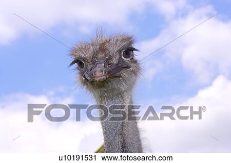 Outdoors, Day View Large Photo Image Stock Image - Outdoors, Day. Fotosearch