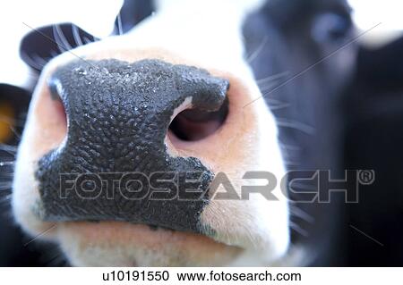 Stock Image - Outdoors, Day. Fotosearch