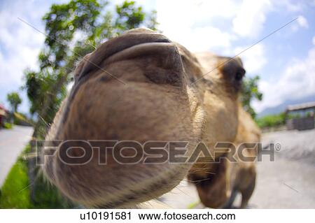 Outdoors, Day View Large Photo Image Stock Image - Outdoors, Day. Fotosearch