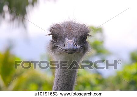 Stock Image - Outdoors, Day. Fotosearch