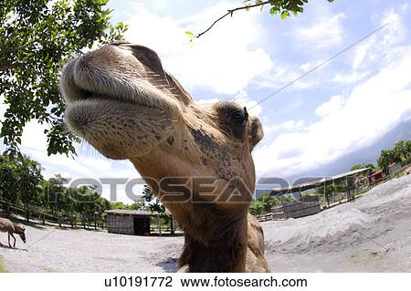 Stock Image - Outdoors, Day. Fotosearch