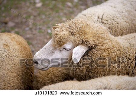 Stock Image - Outdoors, Day. Fotosearch