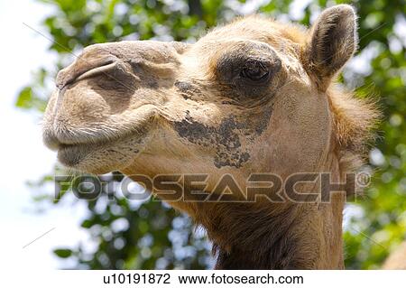 Stock Image - Outdoors, Day. Fotosearch