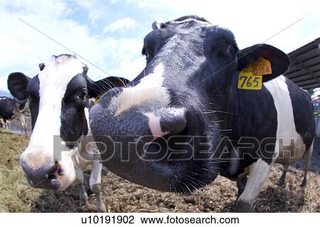 Stock Image - Outdoors, Day. Fotosearch
