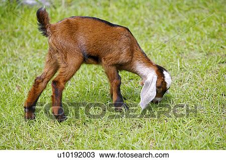Stock Image - Outdoors, Day. Fotosearch