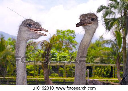 Outdoors, Day View Large Photo Image Stock Image - Outdoors, Day. Fotosearch