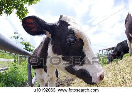 Outdoors, Day View Large Photo Image Stock Image - Outdoors, Day. Fotosearch