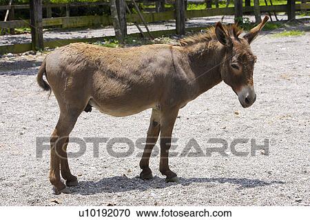 Stock Image - Outdoors, Day. Fotosearch