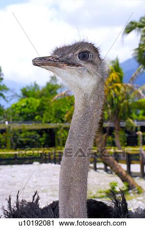 Stock Image - Outdoors, Day. Fotosearch