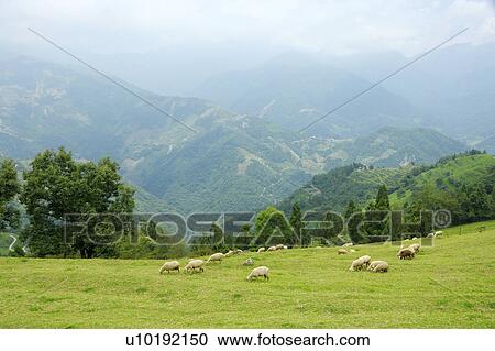 Stock Image - Outdoors, Day. Fotosearch