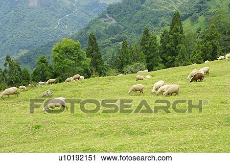 Outdoors, Day View Large Photo Image Stock Image - Outdoors, Day. Fotosearch