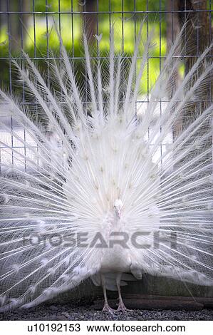 Outdoors, Day View Large Photo Image Stock Image - Outdoors, Day. Fotosearch