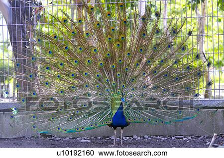 Stock Image - Outdoors, Day. Fotosearch