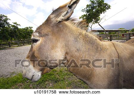Outdoors, Day View Large Photo Image Stock Photo - Outdoors, Day. Fotosearch