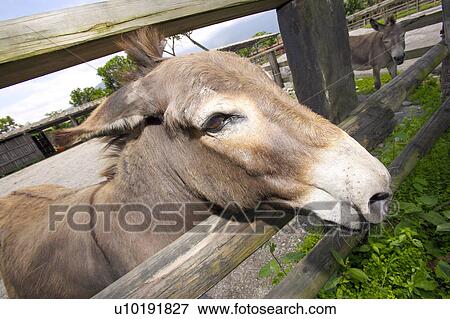 Stock Photo - Outdoors, Day. Fotosearch