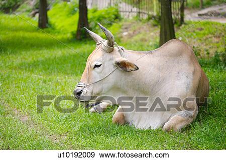 Outdoors, Day View Large Photo Image Stock Photo - Outdoors, Day. Fotosearch