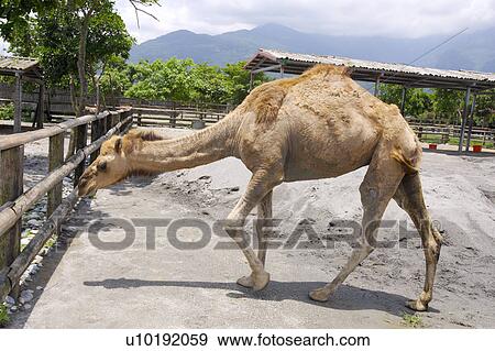 Stock Photo - Outdoors, Day. Fotosearch