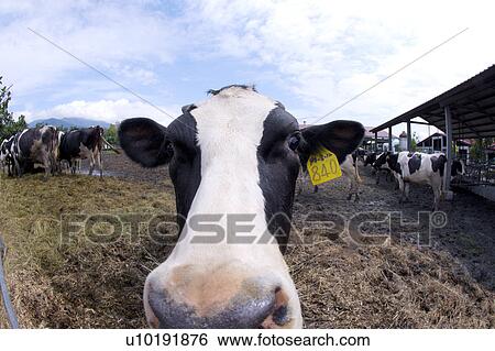 Outdoors, Day View Large Photo Image Stock Photograph - Outdoors, Day. Fotosearch