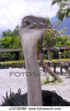 Stock Photograph - Outdoors, Day. Fotosearch