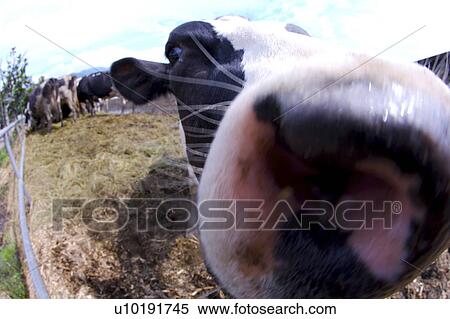 Outdoors, Day View Large Photo Image Stock Photography - Outdoors, Day. Fotosearch