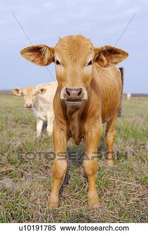 Outdoors, Day View Large Photo Image Stock Photography - Outdoors, Day. Fotosearch
