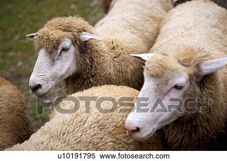 Stock Photography - Outdoors, Day. Fotosearch