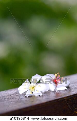 Outdoors, Day View Large Photo Image Picture - Outdoors, Day. Fotosearch